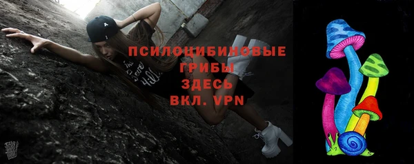 винт Абаза