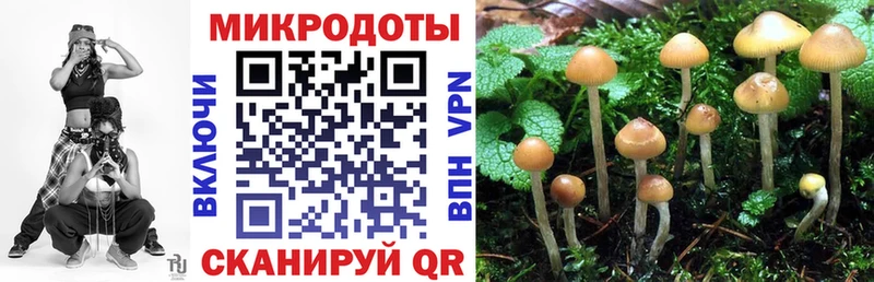 Галлюциногенные грибы MAGIC MUSHROOMS  Абаза 
