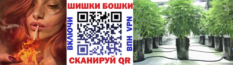 где можно купить   Абаза  Бошки Шишки OG Kush 